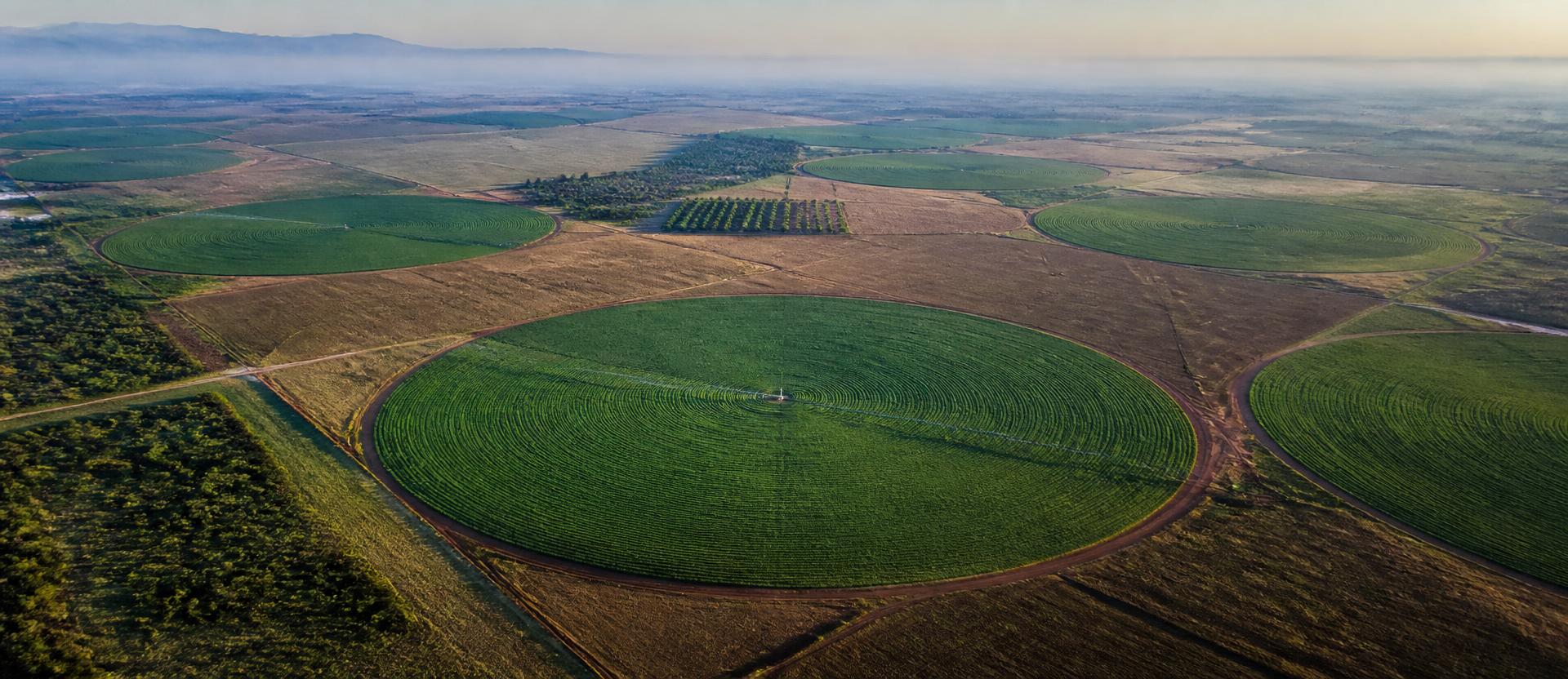 Aerial survey imagery — Agriculture