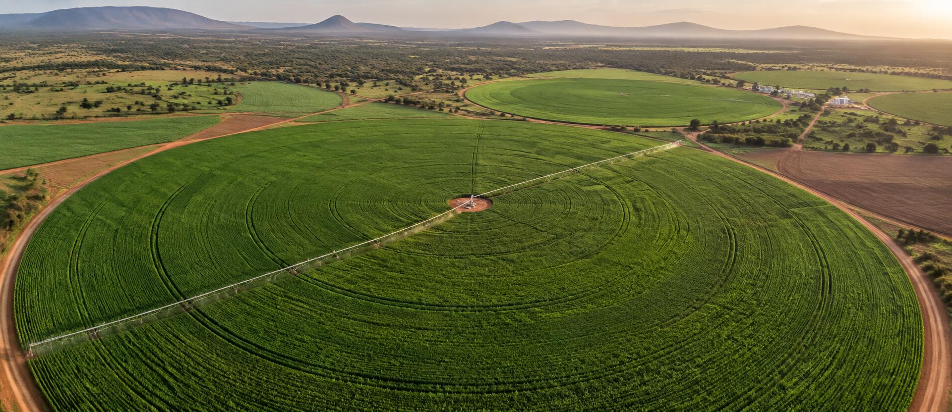 Aerial view of irrigated farmland
